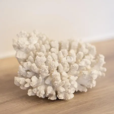 Elman House Appartement